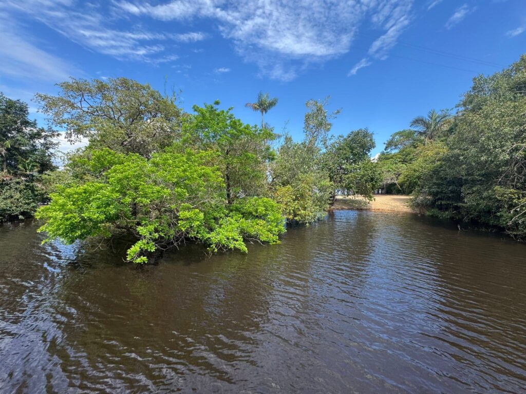 Sur le Rio Negro, Brésil
