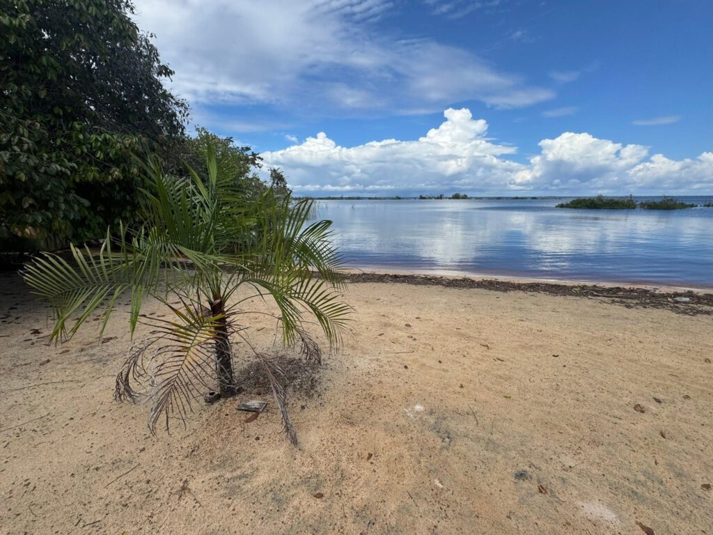Sur les rives du Rio Negro, Brésil