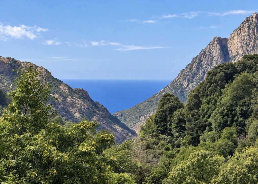 Le golfe de Porto, Corse